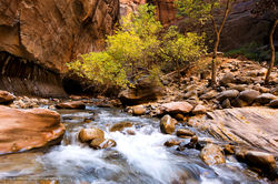 Name This Zion Photo 2