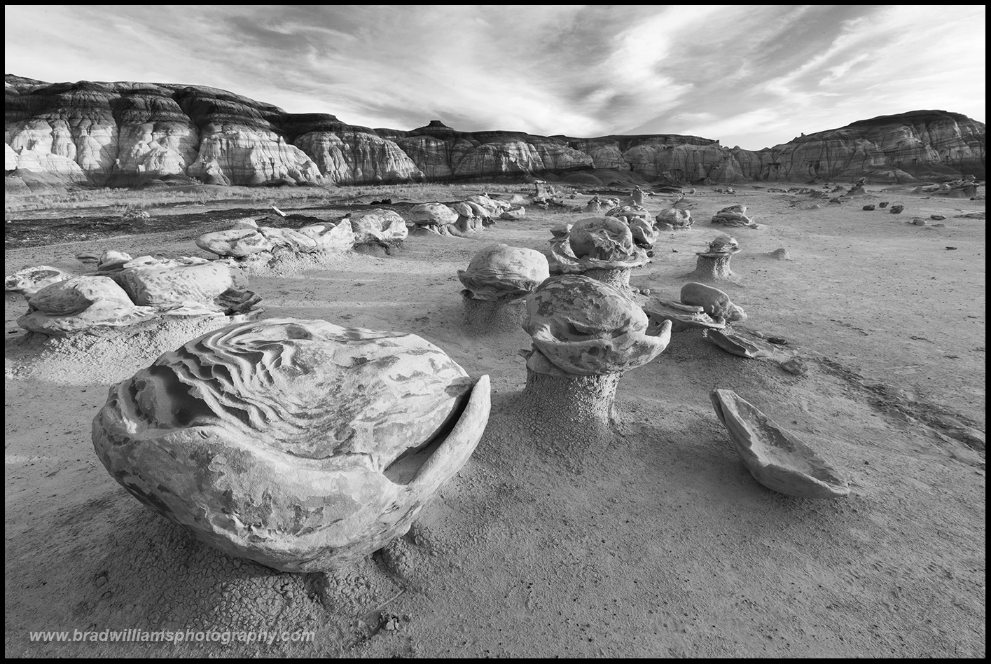 One of the many unusual rock&nbsp;formations in the Bisti Badlands in northern New Mexico.