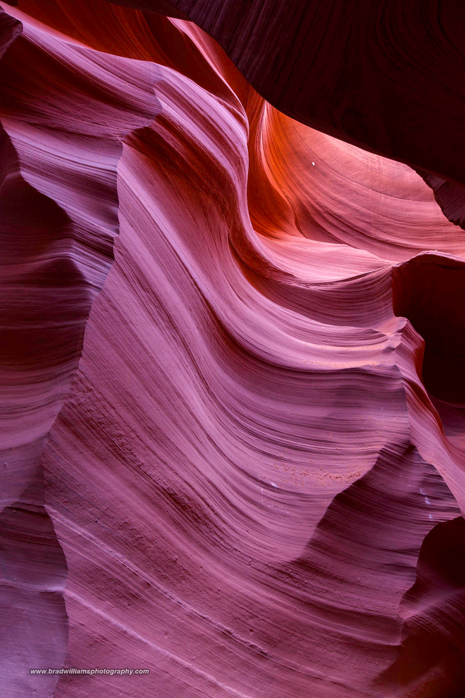 The beautiful lines of Antelope Canyon.